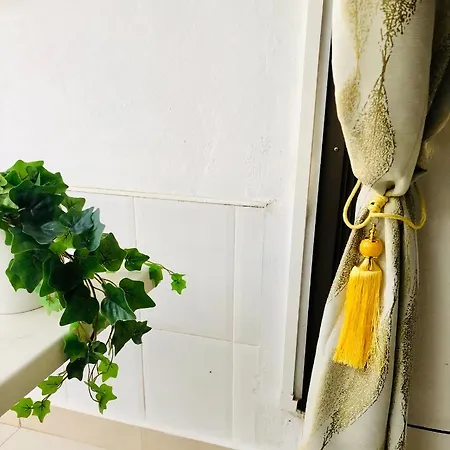 Diki: La Casa Marina De Plata