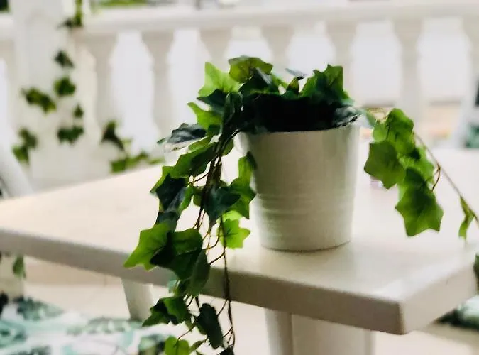 아파트 Diki: La Casa Marina De Plata 플라야데라스아메리카스